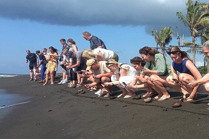 Bali Horse Riding and Turtle Release at Saba Beach - Horseback riding on Saba Beach black sand
