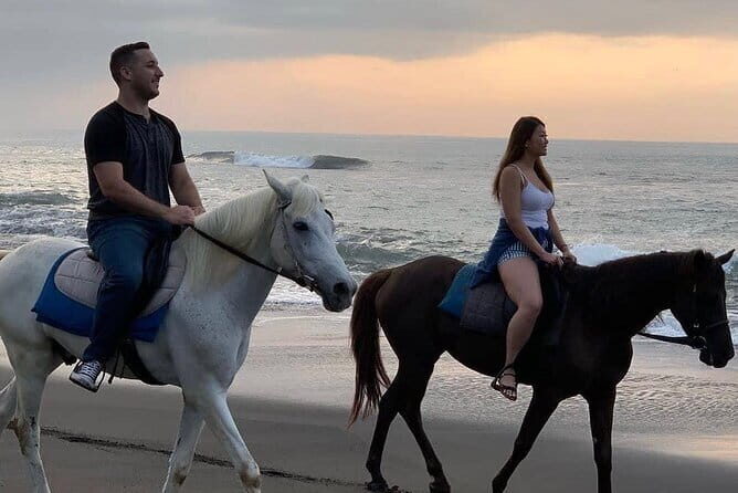Bali Horse Riding Seminyak Beach Experience Private Transport - Key things to know before you go
