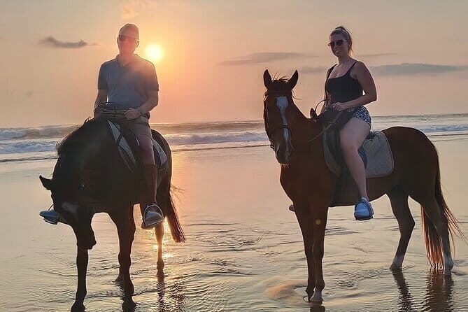 Bali Horse Riding Seminyak Beach Experience Private Transport - Timing in Bali: morning, afternoon, or sunset ride