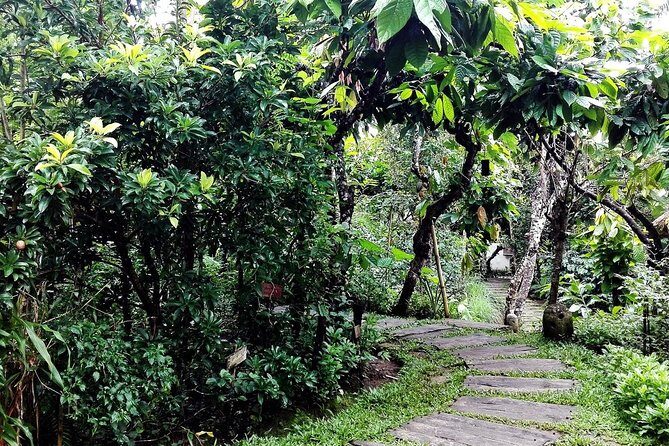 Bali in 1-Day : Rice Terrace, Volcano, Tanah lot - All Inclusive - Price and logistics: what $75 gets you for a 9–10 hour day