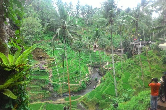 Bali in 1-Day : Rice Terrace, Volcano, Tanah lot - All Inclusive - Uma Pakel Agro Tourism: coffee, plus chocolate and herbal plants