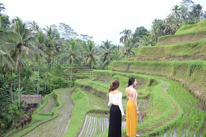 Bali Instagram Most Iconic Spots Private Tour - How the Seminyak icon loop fits in a 12-hour schedule