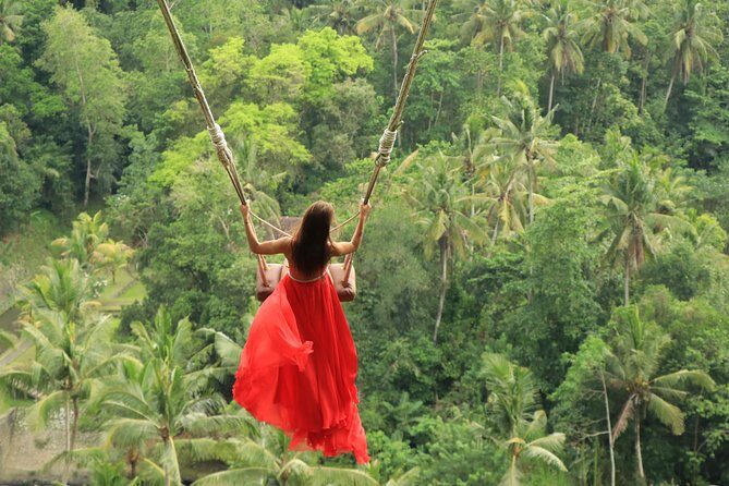 Bali Jungle Swing and White Water Rafting All Inclusive - Who this tour fits best (and who should skip it)