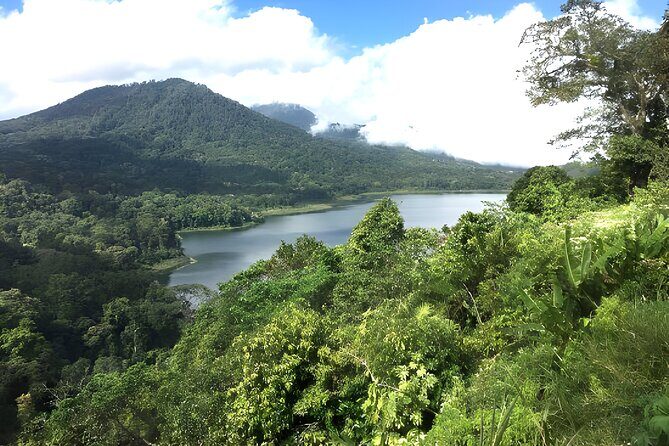 Bali Jungle Trekking in Beautiful Rainforest - Why This North Bali Jungle Trek Feels Like a Reset