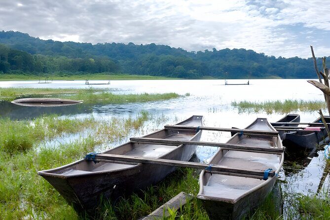 Bali Jungle Trekking in Beautiful Rainforest - Buyan Lake and the Twin-Lake Loop with Stops on the Way