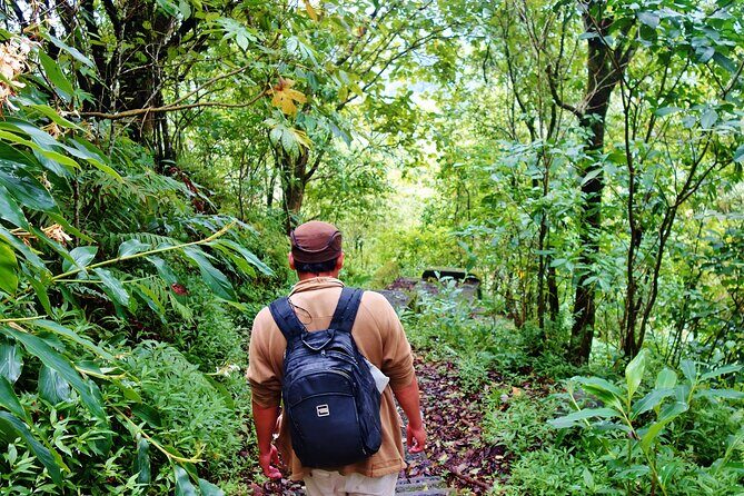 Bali Jungle Trekking in Beautiful Rainforest - The Dugout Canoe Ride on the Lake