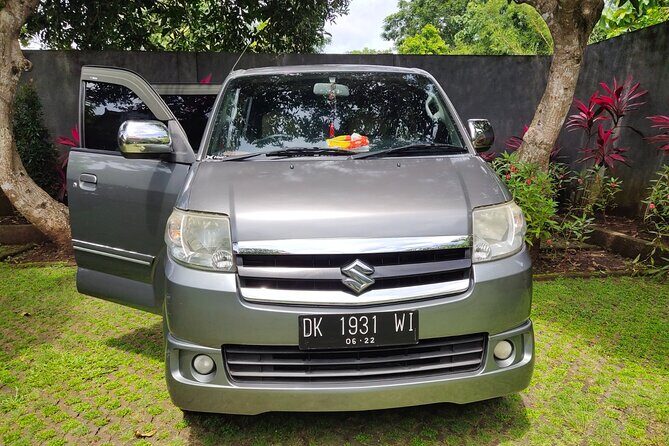 Bali Private Car and Customize Tour With English Speaking Driver - Ubud-side morning: Batuan, Monkey Forest, and Tegalalang views