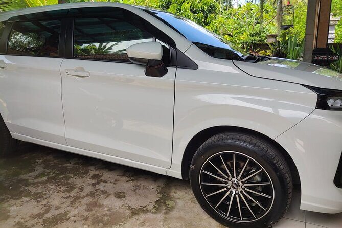 Bali Private Car and Customize Tour With English Speaking Driver - Ubud “taste stops” and Mount Batur scenery time