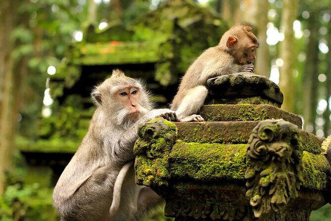 Bali Private Car Charter & Customize Tour With Driver English Speaking-Free WiFi - Pura Puseh Desa Batuan: starting with a temple that feels grounded