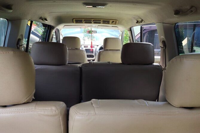 Bali Private Car Charter & Customize Tour With Driver English Speaking-Free WiFi - Tegalalang Rice Terrace and Aloha Ubud Swing: classic photos, tight timing