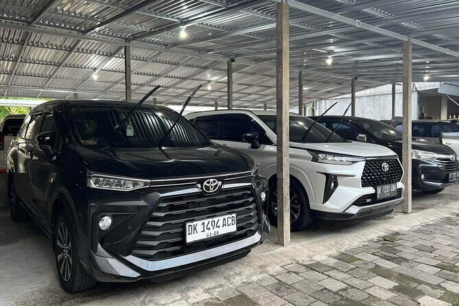 Bali Private Car Charter & Customize Tour With Driver English Speaking-Free WiFi - Your driver makes the day feel personal (Butu gets name-checked)