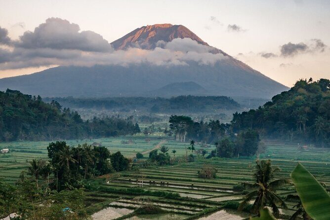 Bali Private Car Charter with English Speaking Driver - Key highlights worth caring about
