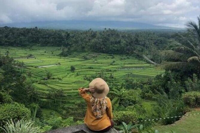 Bali Private Car Charter with English Speaking Driver - Why this Seminyak private car charter makes Bali traffic manageable