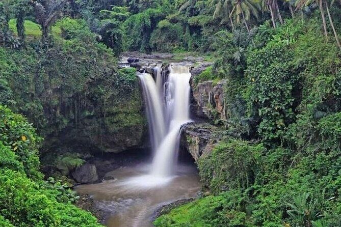 Bali Private Car Charter with English Speaking Driver Or Guide - Temple visits: sarongs, tickets, and avoiding wasted time
