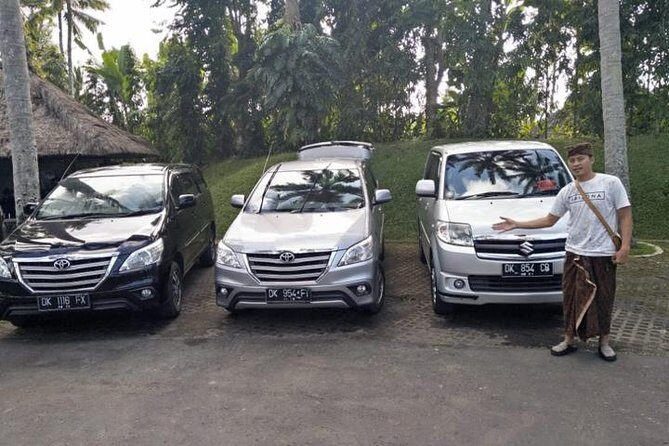 Bali Private Car Charter With English Speaking Driver To Ubud Area - Price and Ticket Reality: $25 Plus Site Fees