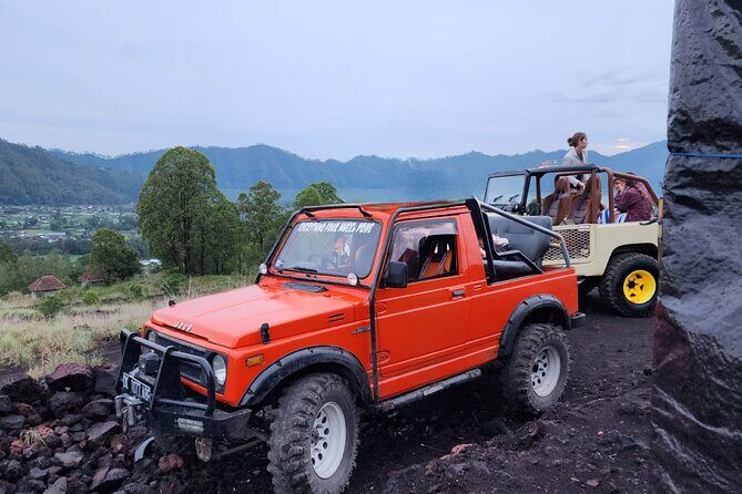 Bali Private Custom Tour - A Realistic Bali Highlights Day: What You’ll Experience