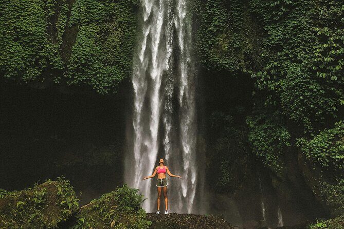 Bali Private Driver & Tour Guide - Key highlights