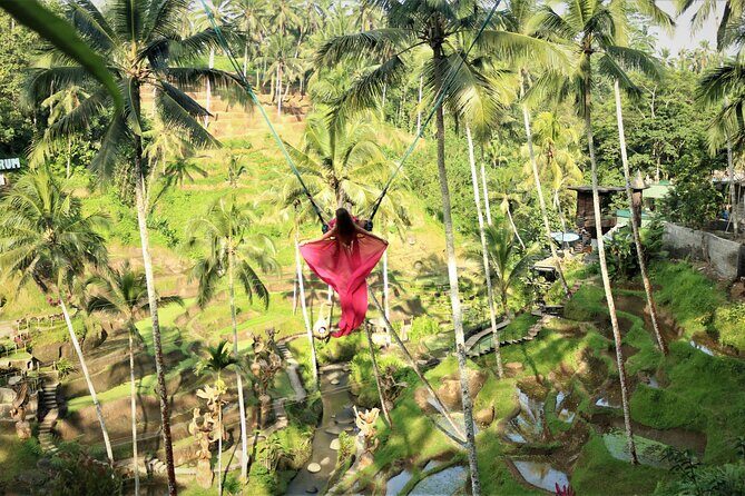Bali Private Full Day Tour to Visit the Best Waterfalls and Swing near Ubud - Tegalalang Rice Terrace: Views Plus Craft Shopping