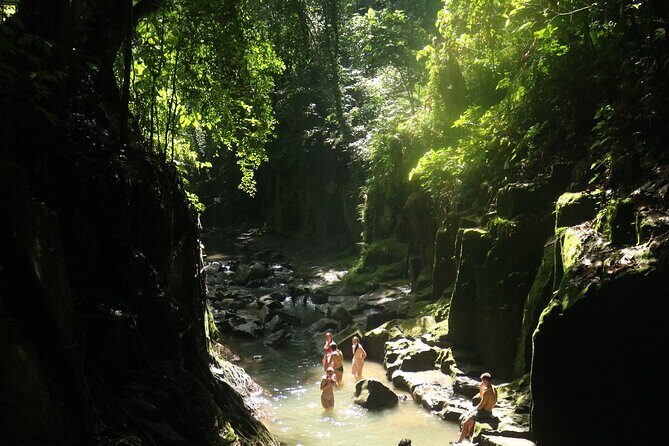 Bali Private Full Day Tour to Visit the Best Waterfalls and Swing near Ubud - Bali Pulina Coffee Plantation: A Farming Break With Real Variety