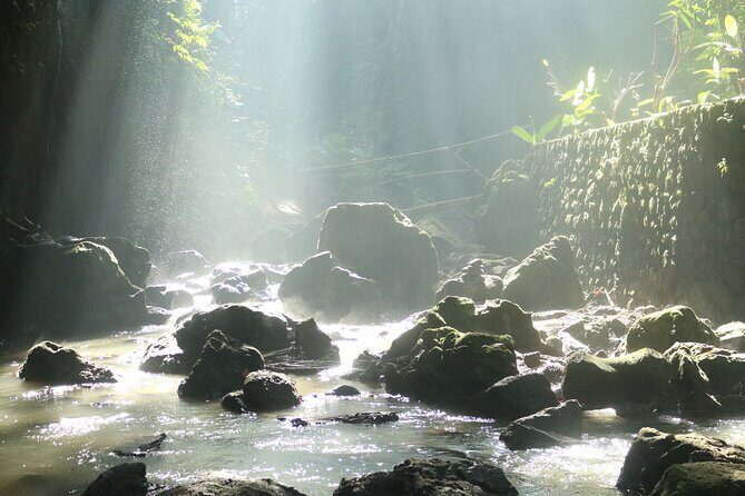 Bali Private Full Day Tour to Visit the Best Waterfalls and Swing near Ubud - Price and Logistics: What $77 Gets You (and What It Doesn’t)