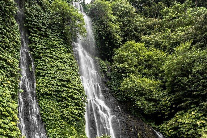 Bali : Private Fullday trip, Discover North Bali Destination - Handara Gate, Fruit Markets, and Coffee Plantation: Iconic Photos Plus Real Snacks
