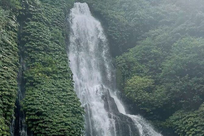 Bali : Private Fullday trip, Discover North Bali Destination - Banyumala Twin Waterfalls and Banyuwana: Swim Time Done Right