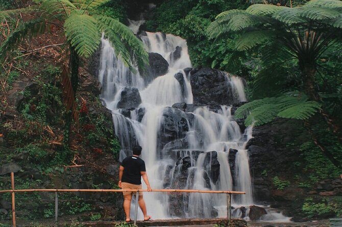 Bali : Private Fullday trip, Discover North Bali Destination - Sekumpul, Tamblingan, Budhits, and Aling Waterfalls: More Nature, More Options