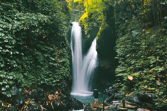 Bali : Private Fullday trip, Discover North Bali Destination - Banjar Hot Spring and Optional Add-Ons: Recovery Without Losing the Day