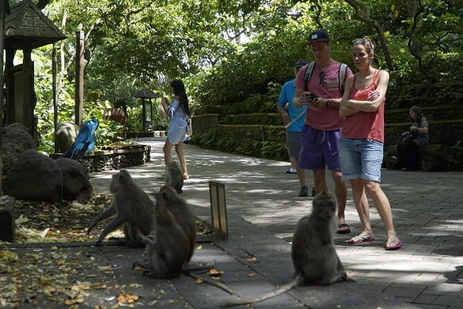Bali Private Tour Waterfall with Tanah Lot Temple - Seminyak Pickup and the Pace of a 10-Hour Day