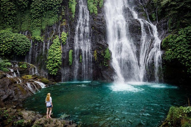 Bali Secret Waterfall Tour - Private and All-Inclusive - What You’ll Learn From the Guides (And Why It Helps)