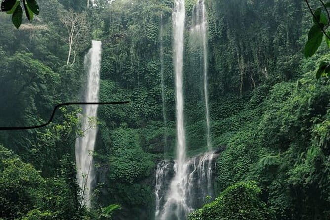 Bali Sekumpul with Fiji Waterfall & Bedugul Temple (Private Tour) - Private Pickup and an English-Speaking Driver: Less Stress, More Time