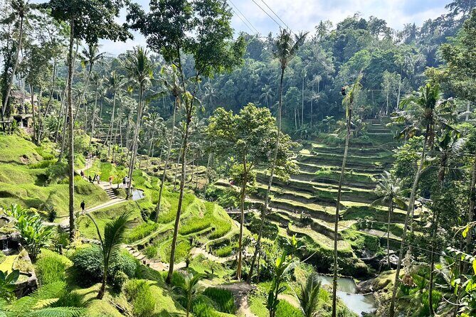 Bali Spiritual: Balinese Healing, Temple & Rice Terrace - Traditional Healing in Batuan Village: Massage and a Holy-Room Ritual