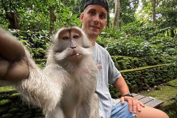 Bali Swing, Monkey Forest and Waterfall Private Tour - Tegalalang Rice Terrace: Terraced Fields and How to Enjoy the Walk