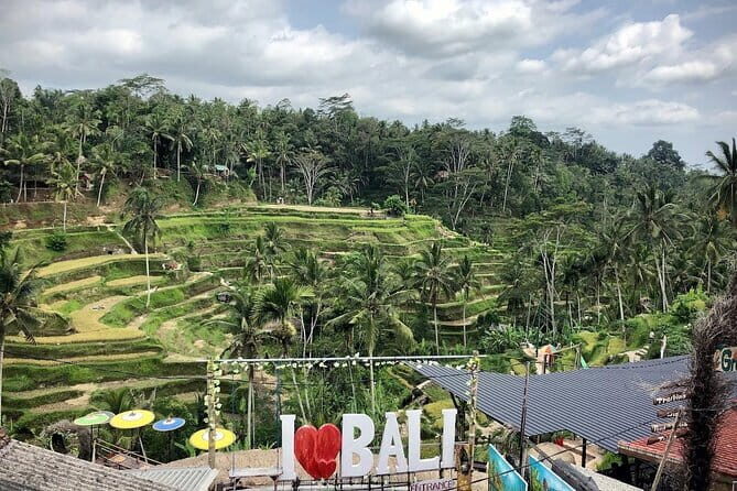 Bali Swing Packages and Kintamani Mt Batur Volcano View - Lunch between the swings and volcano views