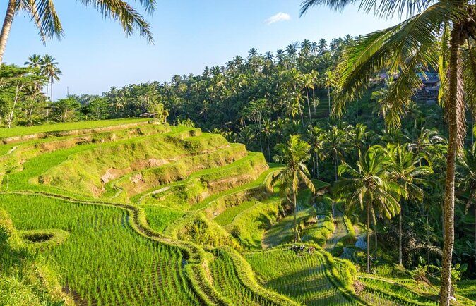 Bali Tour Package 9 Days 8 Nights - Day 1: landing in Denpasar and getting settled in Kuta