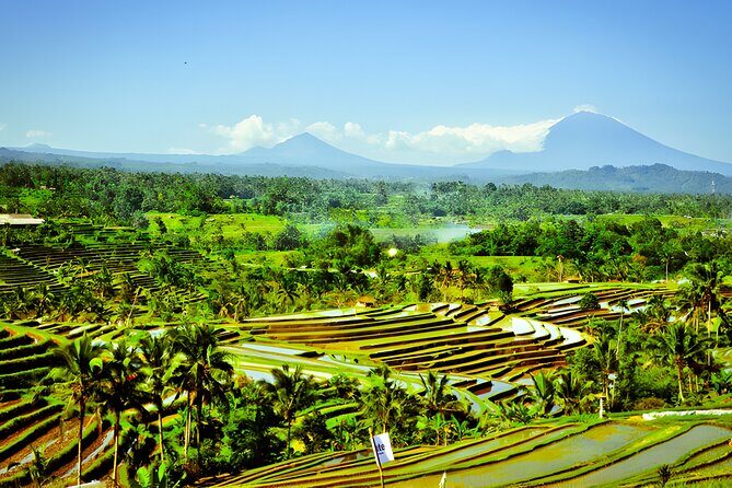Bali Tour: The Best Way to Explore The Highlight of Bali - Jatiluwih Rice Terraces: when the views feel bigger than the walk