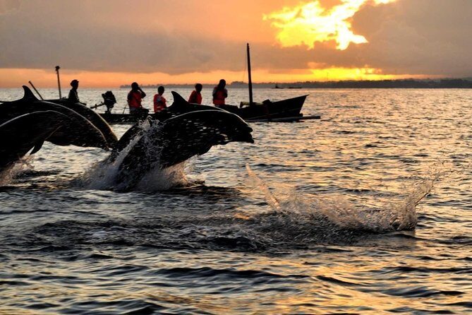 Bali Watching Dolphin at Lovina Beach & aling aling waterfall - Key highlights worth knowing before you go