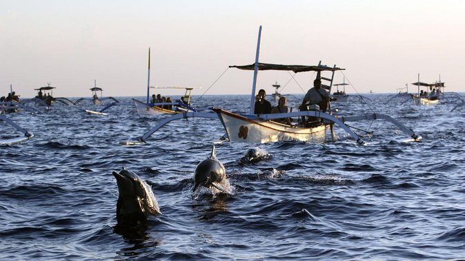 Bali Watching Dolphin at Lovina Beach & aling aling waterfall - Sunrise Lovina in North Bali: why this timing works