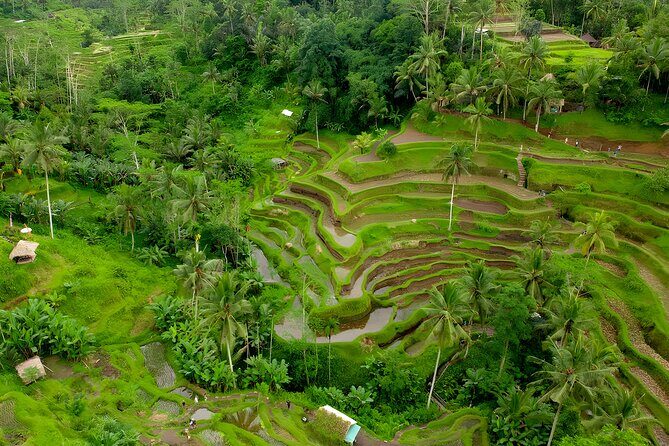 Bali Water Sports and Ubud Tour Packages - Price and Time: Is $100 per Person a Good Value?