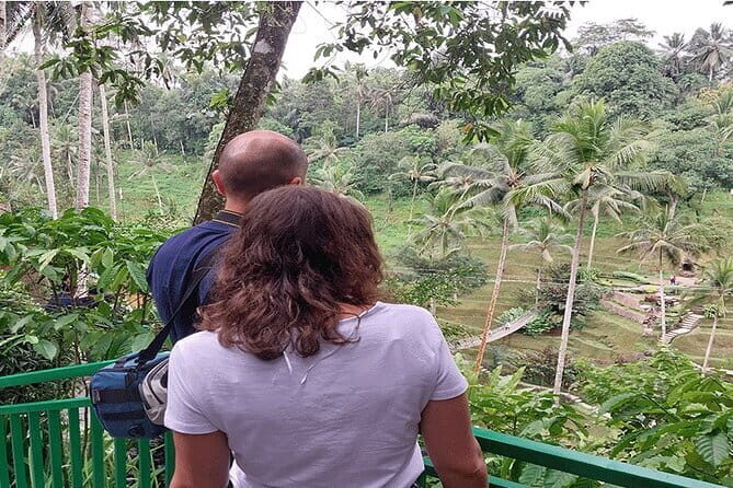 Banyumala Waterfall, Jatiluwih, Ulun Danu and Tanah Lot tours - Price and value: what $70 buys you for a full-day circuit