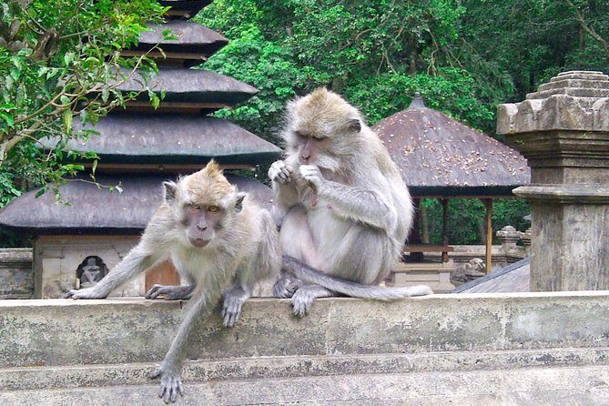 Best Bali Package Tour: 4 Days with Airport or Hotel Transfer - Day 1: Airport to Uluwatu sunset, then seafood at Jimbaran