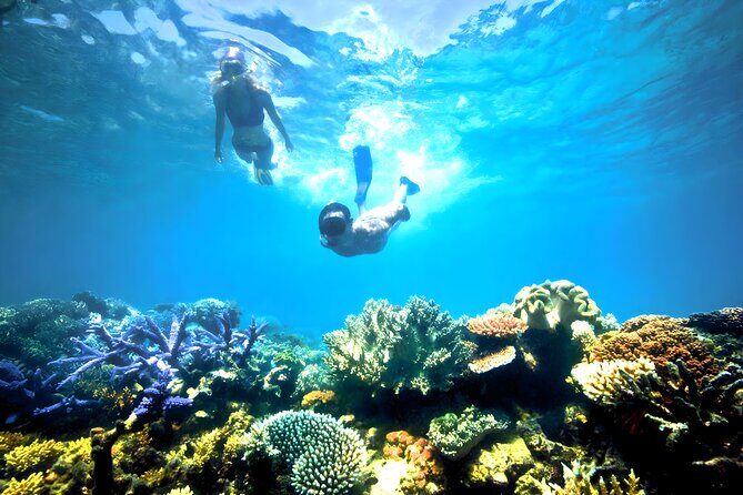Best Bali Snorkeling at Blue Lagoon Beach: All-Inclusive - Blue Lagoon Beach Snorkeling: what makes this day trip work
