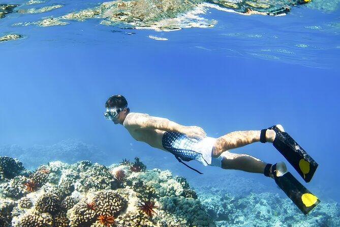 Best Bali Snorkeling at Blue Lagoon Beach: All-Inclusive - Price and value: is $60 per person a good deal?