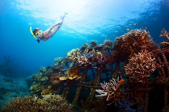 Best Bali Snorkeling at Blue Lagoon Beach: All-Inclusive - Stop 1: Blue Lagoon Beach near Padang Bai for calm, beginner-friendly water