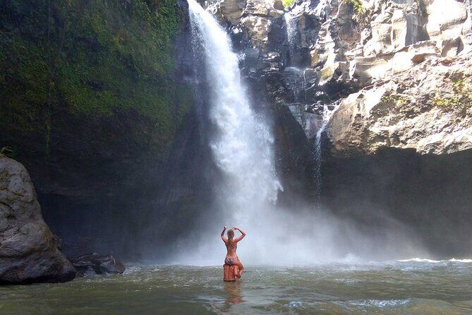 Best of Bali : Bali Temples , Rice Terrace and Waterfall Tour - Price and logistics: what $59.49 covers (and what it doesn’t)