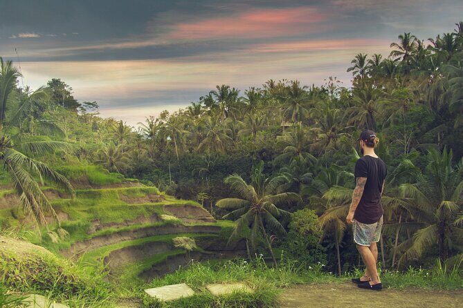 Best of Bali : Bali Temples , Rice Terrace and Waterfall Tour - Tirta Empul Temple: how the purification ritual works for visitors