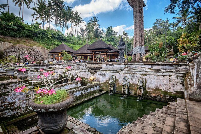 Best of Bali : Bali Temples , Rice Terrace and Waterfall Tour - Tegalalang Rice Terrace: the views you want, without the guesswork