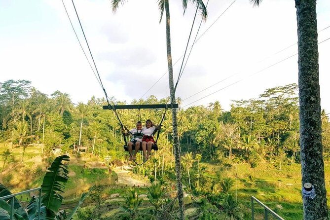 Best of Bali Jungle Swing with Ubud Sightseeing Tour - Tirta Empul and the Holy Spring-Water Ritual