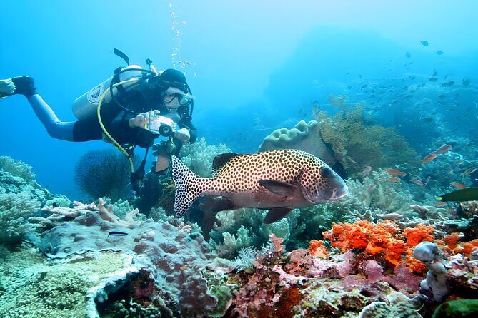 Best of Bali Water Sport Jumbo Packages - Your Activity Menu: What You Can Choose From
