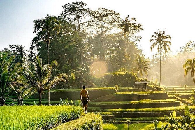 Best of Ubud - Full day Tour + FREE WI-FI - Key things that make this Ubud day tour work